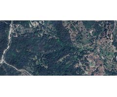 Terreno rústico de 80.000m2 en Casares, Málaga.