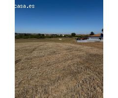 Se vende gran parcela segregada de 22.000 m²