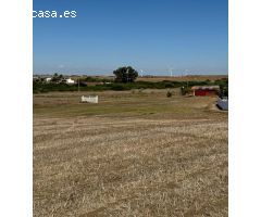 Se vende gran parcela segregada de 22.000 m²