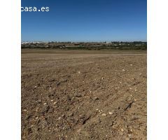 Se vende gran parcela segregada de 22.000 m²