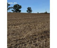Se vende gran parcela segregada de 22.000 m²