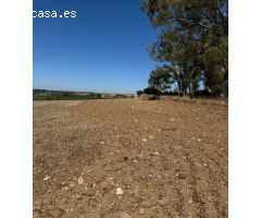 Se vende gran parcela segregada de 22.000 m²