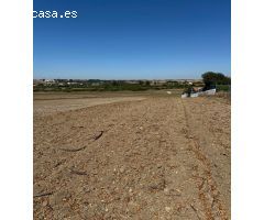 Se vende gran parcela segregada de 22.000 m²