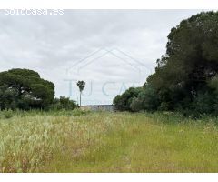 Parcela rústica junto a Villanueva Golf
