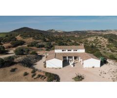 Finca de 13 ha. con cortijo y cuadras para caballos de nueva construcción