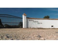 Finca de 13 ha. con cortijo y cuadras para caballos de nueva construcción