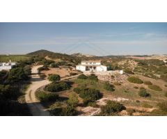 Finca de 13 ha. con cortijo y cuadras para caballos de nueva construcción