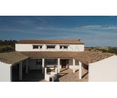 Finca de 13 ha. con cortijo y cuadras para caballos de nueva construcción