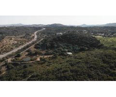 Finca de 13 ha. con cortijo y cuadras para caballos de nueva construcción