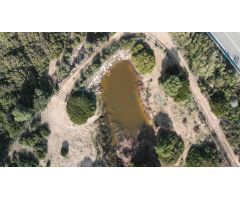 Finca de 13 ha. con cortijo y cuadras para caballos de nueva construcción