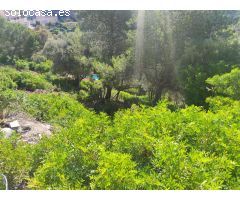 SE VENDE PARCELA EN CUNIT CON VISTAS AL MAR
