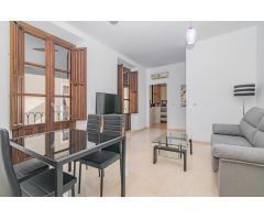 Apartamento céntrico en Granada Capital