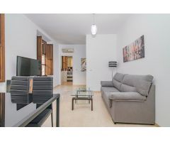 Apartamento céntrico en Granada Capital