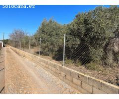 Finca rustica en Venta en Benicarló, Castellón