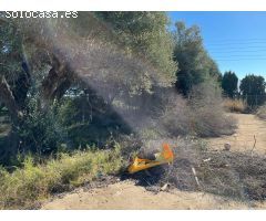 Finca rustica en Venta en Benicarló, Castellón