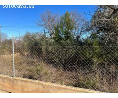 Finca rustica en Venta en Benicarló, Castellón