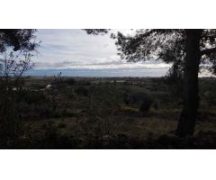 Terreno rural en Venta en Benicarló, Castellón