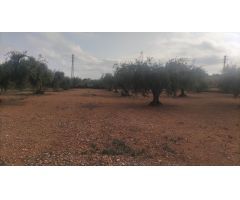 Solar en Venta en Benicarló, Castellón