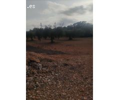 Solar en Venta en Benicarló, Castellón