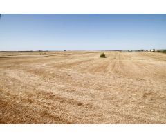 Terreno de 40.000 m junto Urb. Río Caya