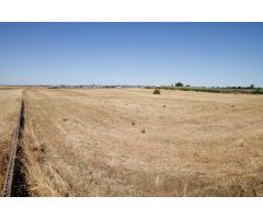 Terreno de 40.000 m junto Urb. Río Caya