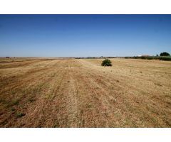 Terreno de 40.000 m junto Urb. Río Caya