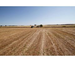 Terreno de 40.000 m junto Urb. Río Caya