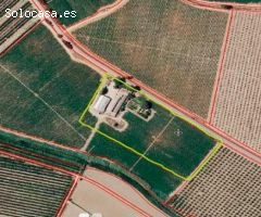 RÚSTICA DE REGADIO CON 3 VIVIENDAS NAVE Y OTRAS EDIFICACIONES