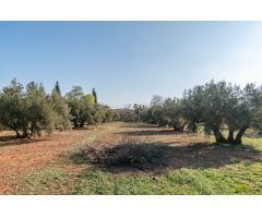 Villa en Venta en Atarfe, Granada