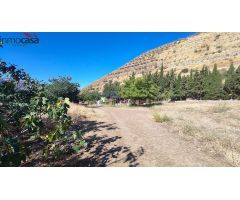 TERRENO CON VIVIENDA LEGALIZADA Y CODIGO DE EXPLOTACIÓN EQUINA EN GUEJAR SIERRA