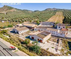 FINCA RUSTICA AGRARIA CON VIVIENDA