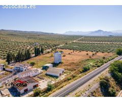 FINCA RUSTICA AGRARIA CON VIVIENDA