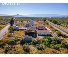 FINCA RUSTICA AGRARIA CON VIVIENDA