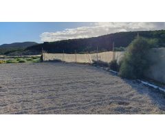 FINCA RUSTICA PARA CULTIVO CON SALON Y ESTANQUE, PORIS DE ABONA