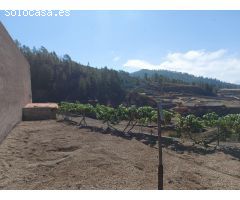 ¡Oportunidad única! Finca de Papas en Vilaflor con Vistas Despejadas y Agua Propia