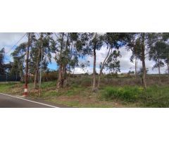 PARCELA URBANA EN SAN CRISTOBAL DE LA LAGUNA