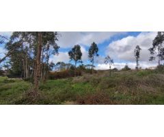 PARCELA URBANA EN SAN CRISTOBAL DE LA LAGUNA