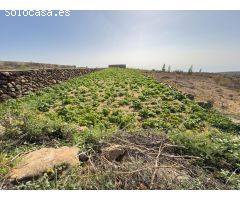 FINCA RUSTICA DE 17280 mts² CON VIÑA, ESTANQUE Y EDIFICACION A REFORMAR