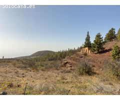FINCA RUSTICA DE 17280 mts² CON VIÑA, ESTANQUE Y EDIFICACION A REFORMAR