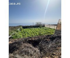 Venta de Finca Rústica con Frutales
