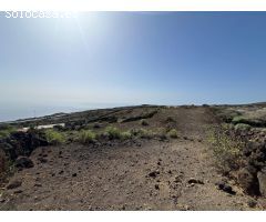 Venta de Finca Rústica con Frutales