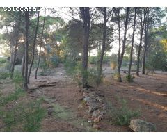 ¡Gran Oportunidad en Naquera! Terreno de 4.079 m²