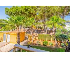 ¡OPORTUNIDAD ÚNICA! 7.000 m² ENTRE PALMA DE GANDIA Y RÓTOVA