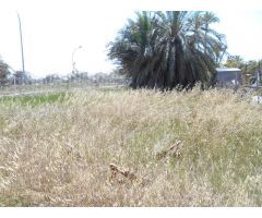 Solar en Venta en El Olivar, Valencia