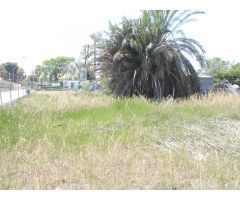 Solar en Venta en El Olivar, Valencia
