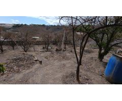 Solar en Venta en Arucas, Las Palmas