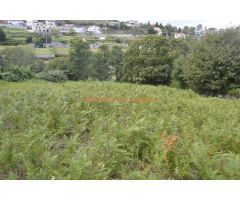 REF 2772 SOLAR 1330m2 ZONA HERVILLE (MOS)