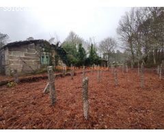 REF  2869 CASA PIEDRA PARA REFORMA INTEGRA CON 4024m2 TERRENO ( PONTEAREAS)