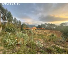 REF 4201 GRAN TERRENO DE 10.280m2 MUY PRÓXIMO POLIGONO AS BALOUTAS ( MOS )