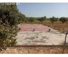 CASA DE CAMPO A 1K DE ELCHE